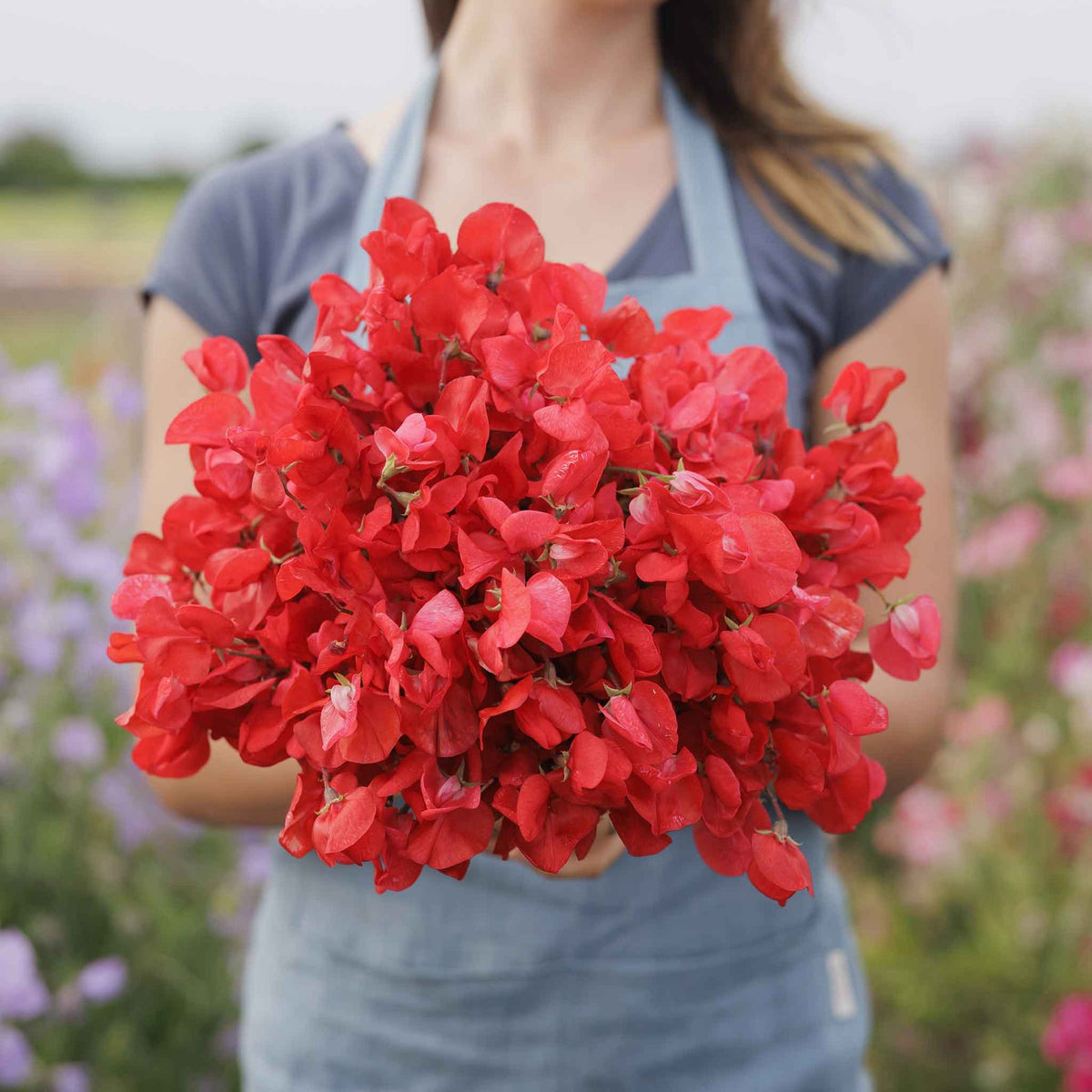 flowers high quality flower seeds for growing vibrant and colorful blooms in home gardens and landscapes organic flowers premium organic flower seeds for sustainable gardening and beautiful blossoms suitable for all climates