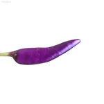 Sweet pepper Capsicum annuum extremely rare organic seeds for planting in kitchen garden or grow boxes - Dharaseeds