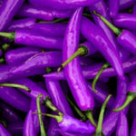 Sweet pepper Capsicum annuum extremely rare organic seeds for planting in kitchen garden or grow boxes - Dharaseeds