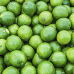 Sweet Persian Lemon tree fruiting from quality lemon seeds
