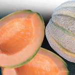Sweet pink cantaloupe fruit grown from seeds