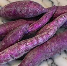Sweet Potato Seeds for Gardening, 100 Pcs pcs - Dharaseeds
