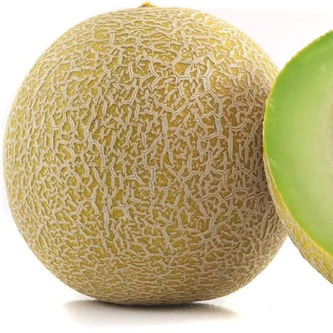 Sweet summer melon seeds with high germination for outdoor growers