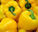 Sweet Yellow Pepper Golden California Wonder Seeds – Bright Golden Fruits, Non - GMO - Dharaseeds