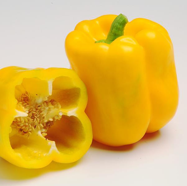 Sweet yellow pepper seeds for home gardening high germination