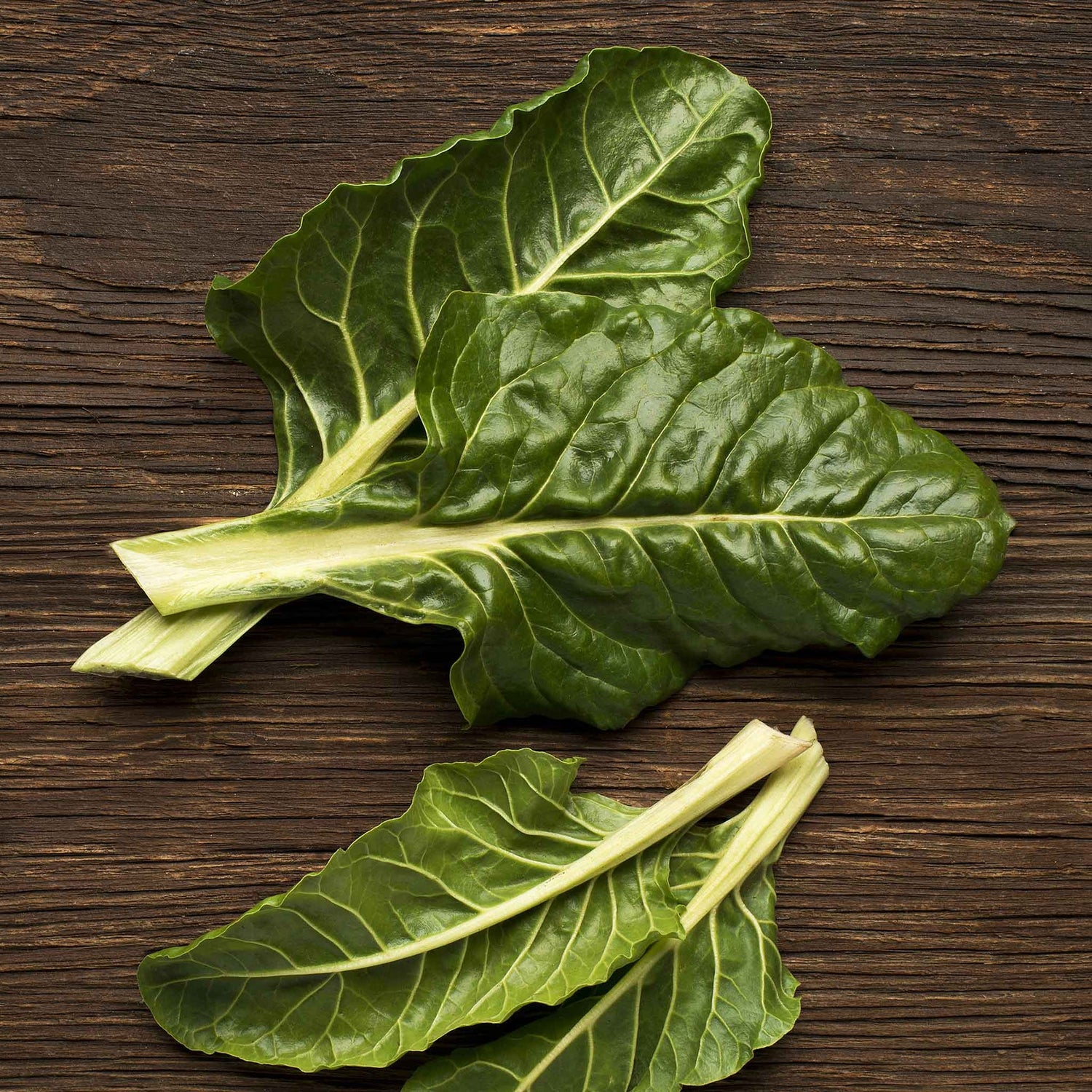 Swiss Chard Seeds - Perpetual Spinach