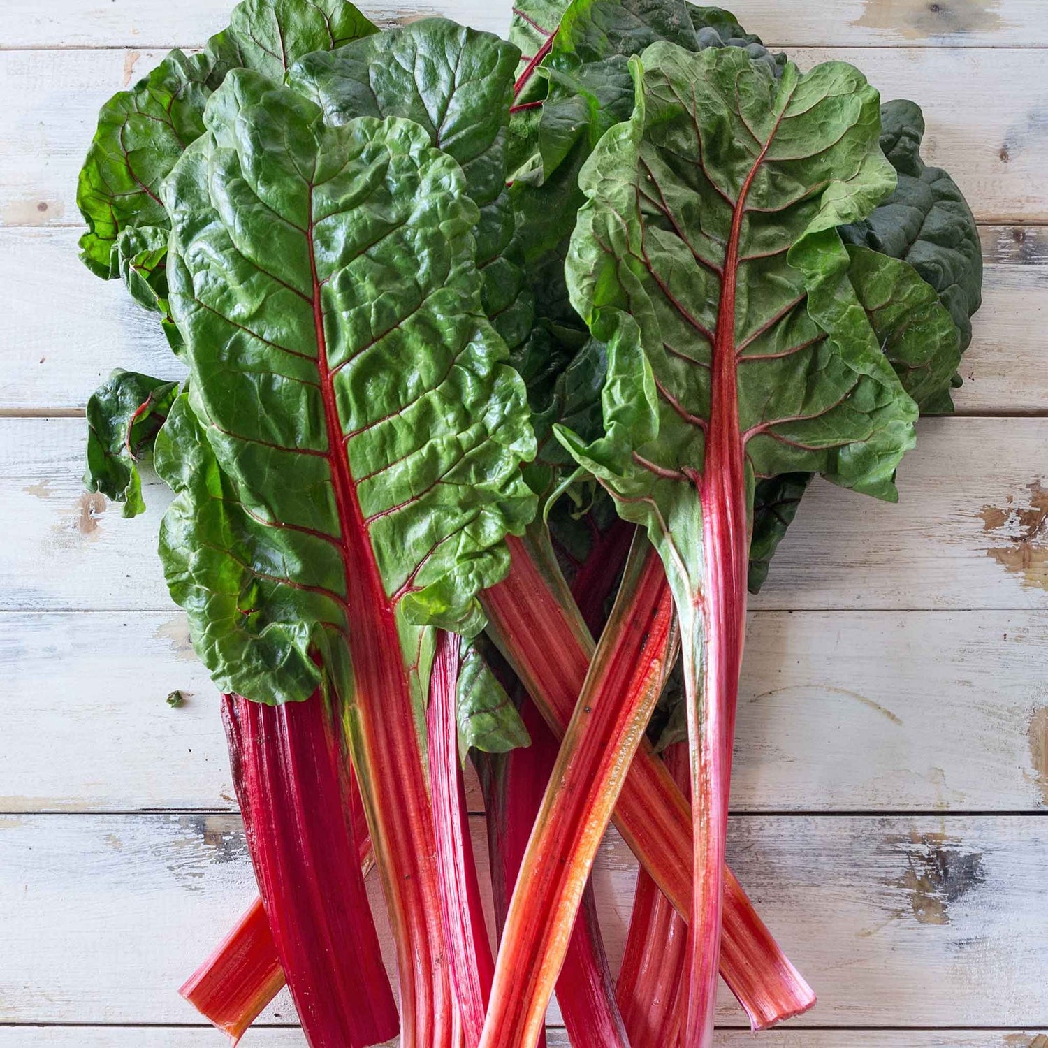 Swiss Chard Seeds - Ruby Red