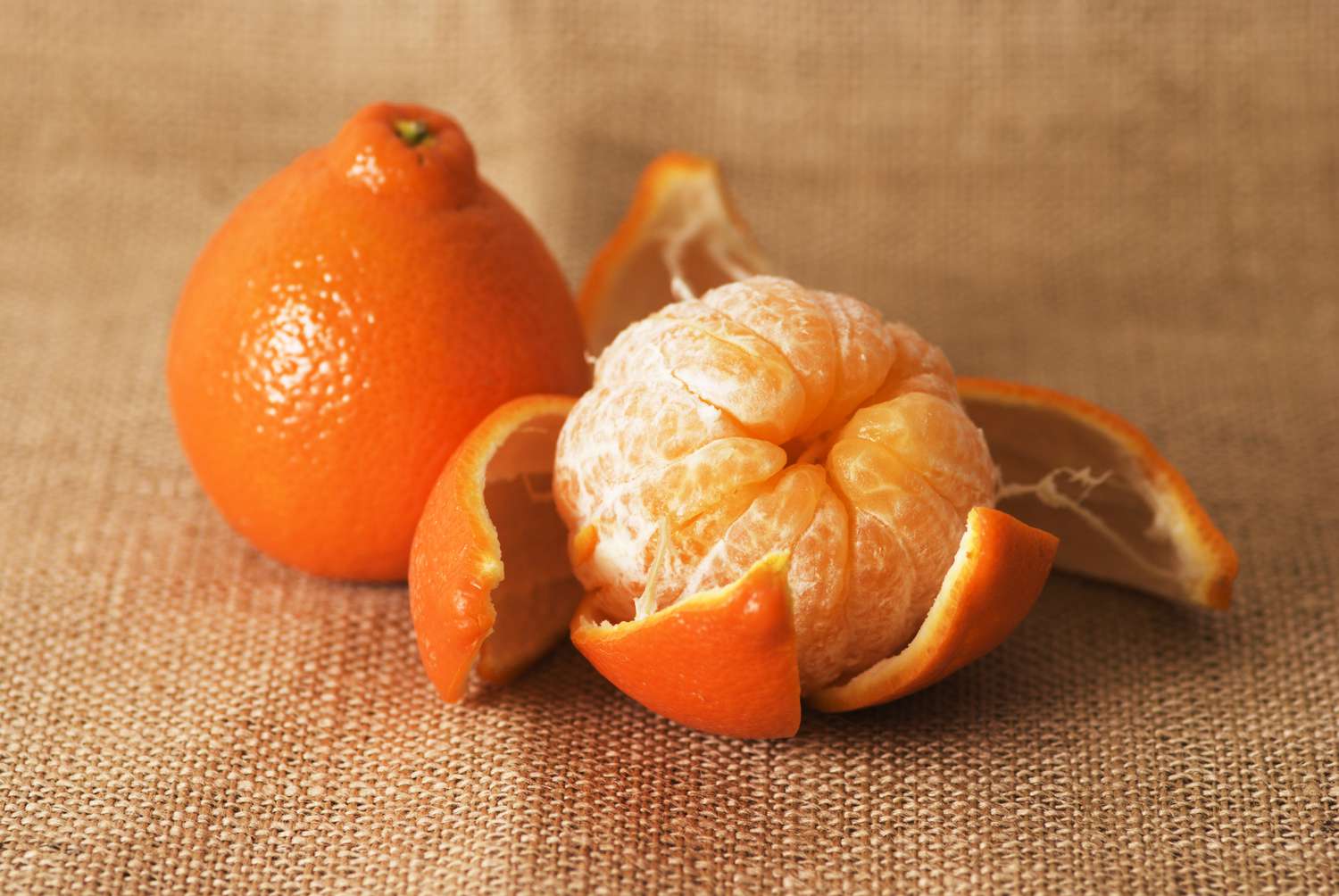 Tangelo – The Sweet and Tangy Citrus Hybrid