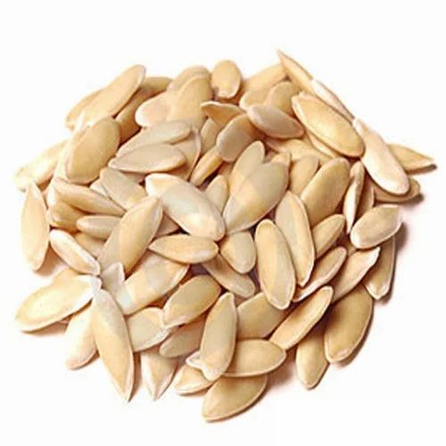 Cucumber Cucumis Sativus Yellow Vegetable Seeds for Planting – Unique Variety for Kitchen Garden and Summer Harvests