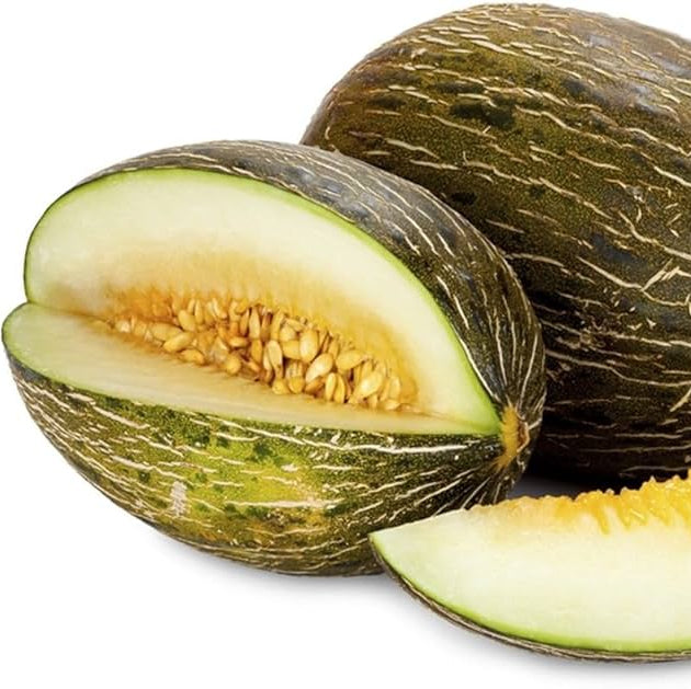 Toad Skin melon seeds for home gardening
