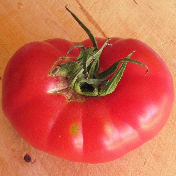 Tomato Kremlevskiye Kuranty Solanum lycopersicum vegetable seeds for planting in vertical garden or pots