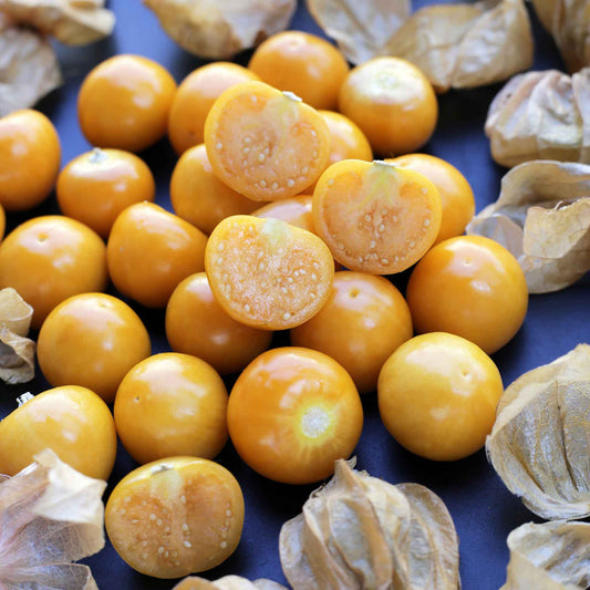 Tomatillo Konditer Physalis philadelphica vegetable seeds for planting in kitchen garden or home garden