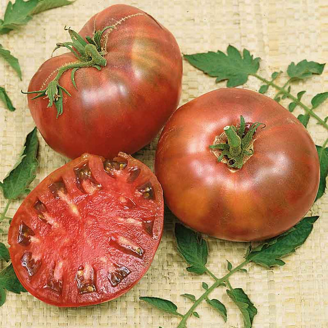 Tomato Seeds - Cherokee Purple