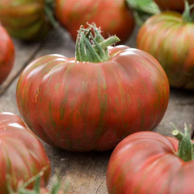 Tomato Seeds - Chocolate Stripes