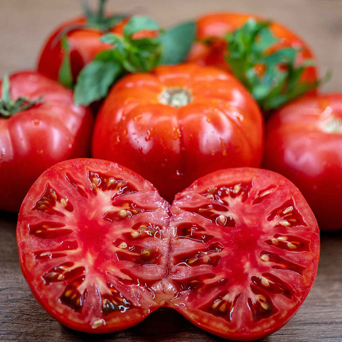 Tomato Seeds - Cuostralee