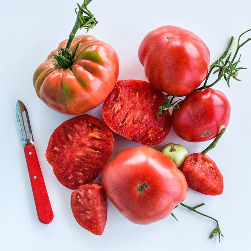 Tomato Solanum Lycopersicum Pink Missouri Mystery Vegetable Seeds for Planting – Heirloom Variety for Garden Beds and Fresh Eating