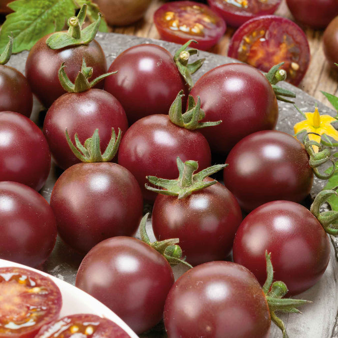 Tomato Seeds (Organic) - Black Cherry