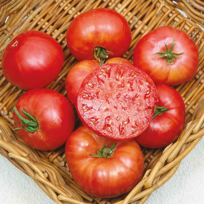 Tomato Seeds (Organic) - Mortgage Lifter