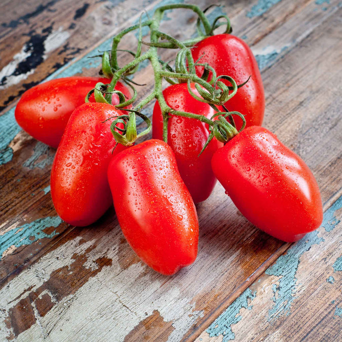 Tomato Seeds (Organic) - Roma