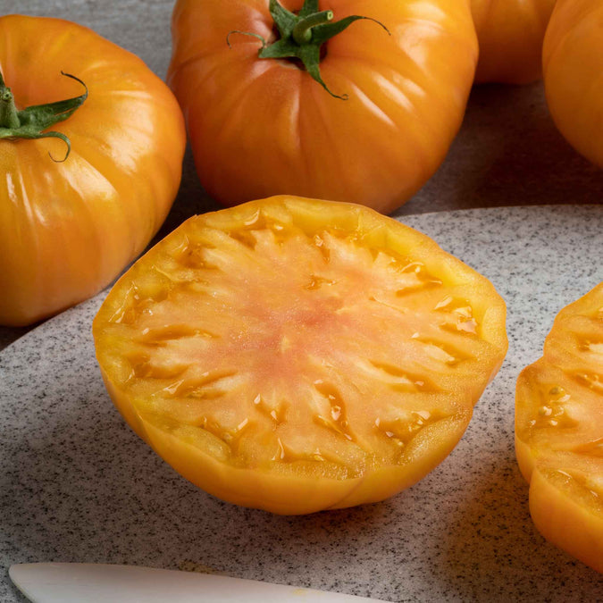 Tomato Seeds - Persimmon