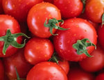 Tomato Rashi heirloom non-GMO organic garden seeds