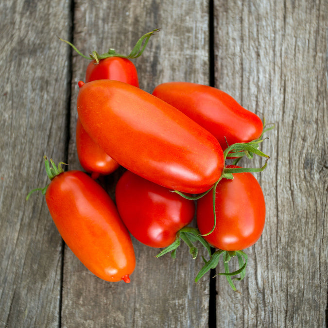 Tomato Seeds - Roma