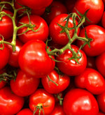 Tomato Solanum lycopersicum fantastic variety seeds for planting in home vegetable garden or grow containers - Dharaseeds