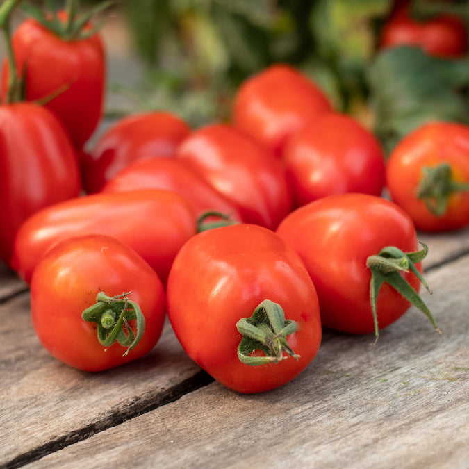 Tomato Seeds - Trutti-Fruiit Paprika F1