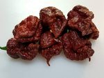 Trinidad 7 Pot Douglah chocolate chili seeds for growing rare hot pepper varieties - Dharaseeds