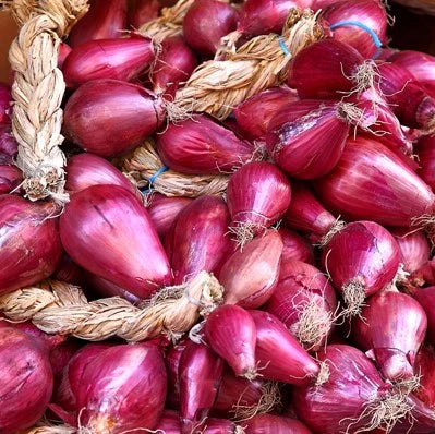 sliced onion showing crisp white flesh with subtle red tinge

