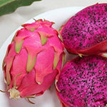 Tropical dragon fruit purple cactus seeds warm climate variety