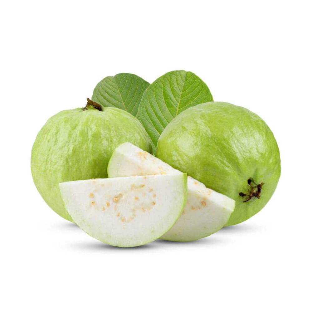 Tropical guava non-GMO garden seeds for home growers