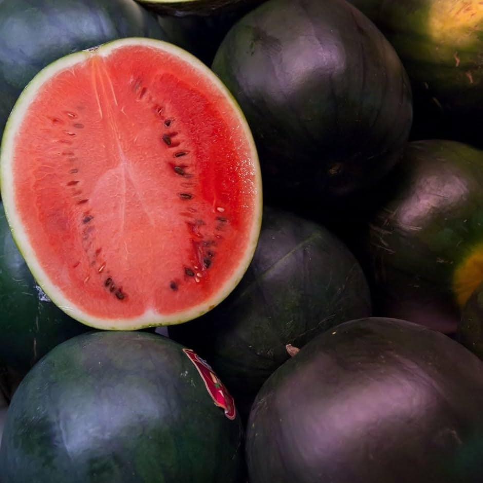 Tropical kiwano fruit seeds for planting