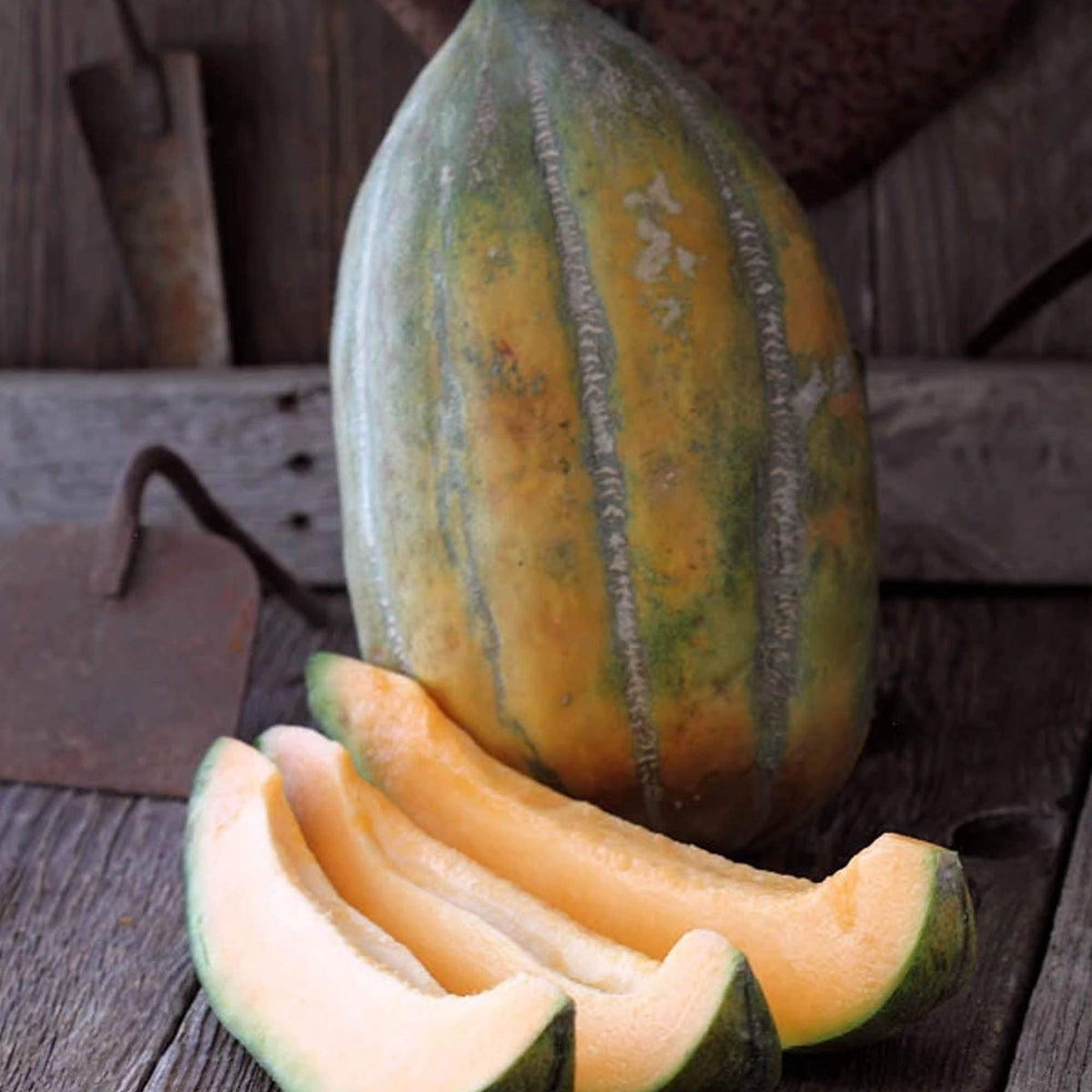 Exotic Kiwano plant seeds non-GMO high germination