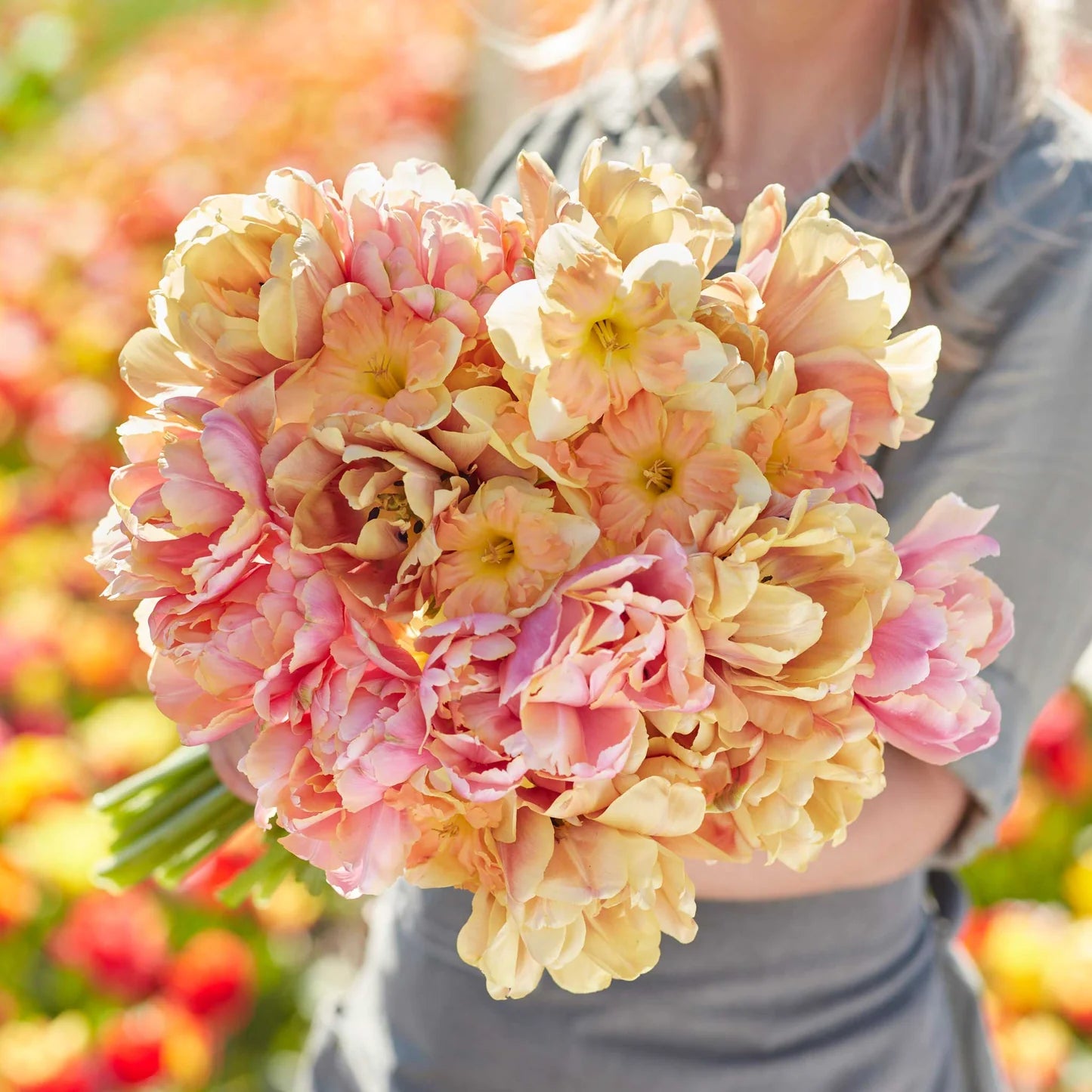 Tulip & Daffodil Promenade Mix