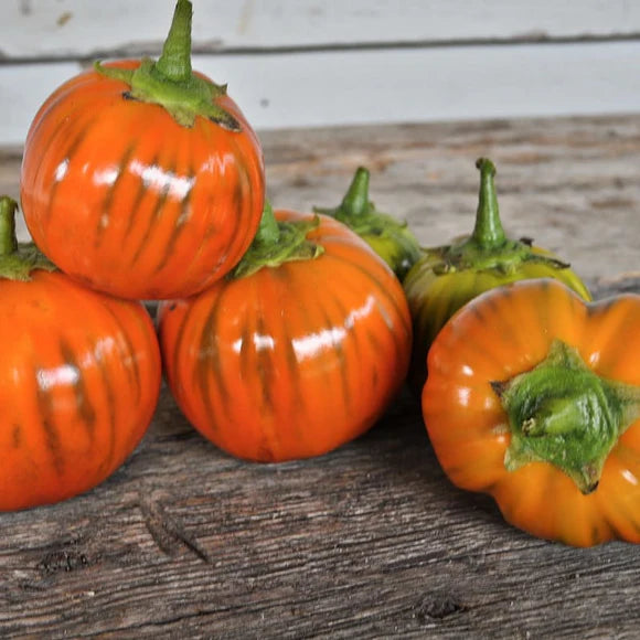 Eggplant Seeds - Turkish Orange