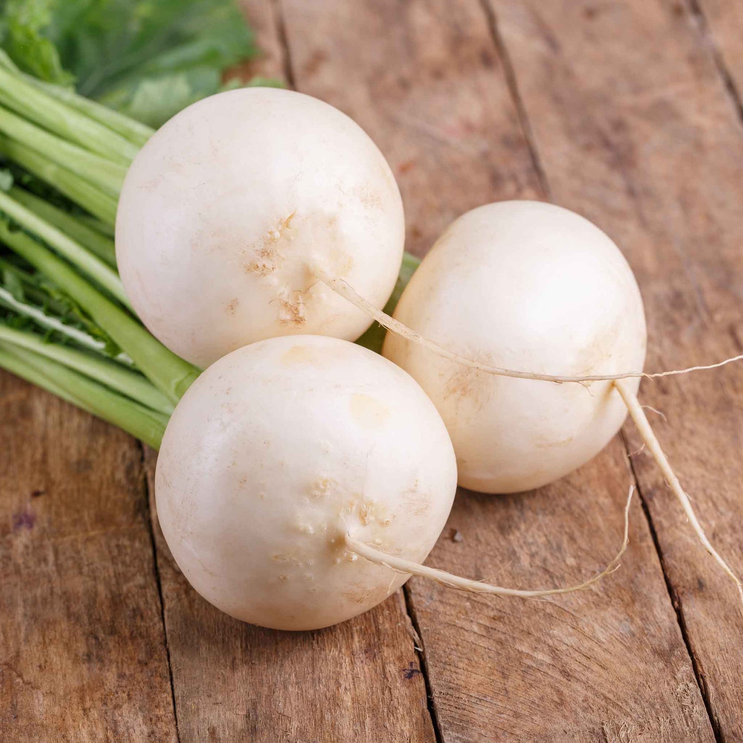 Japanese Turnip Shogoin Brassica rapa vegetable seeds for planting in kitchen garden or container garden