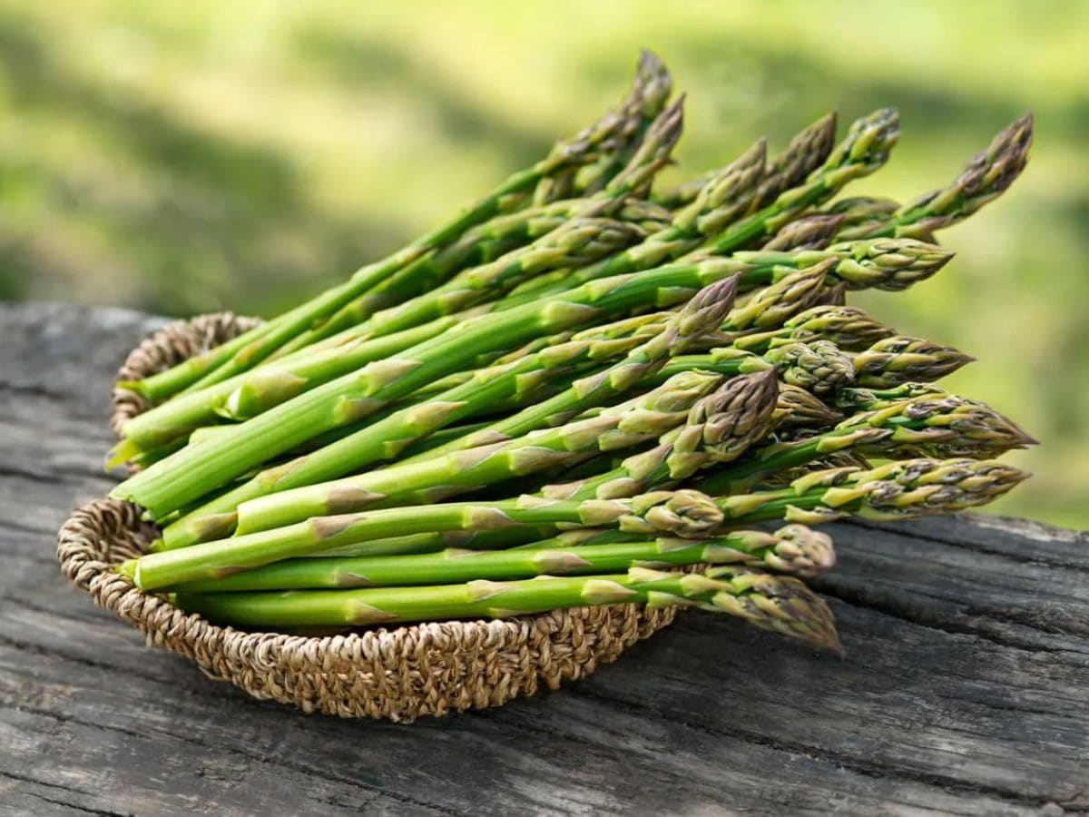 Mary Washington Asparagus Seeds