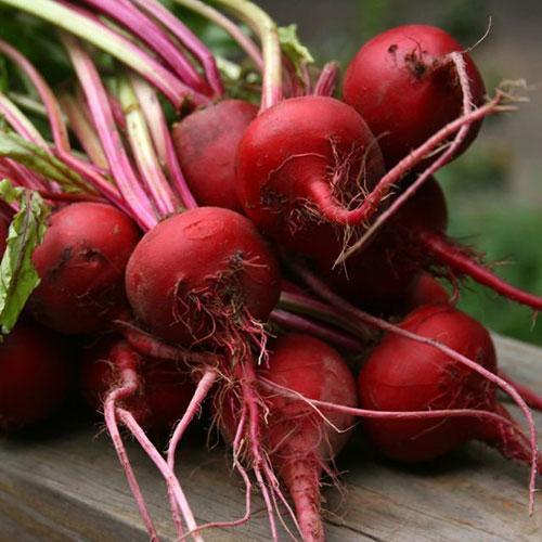 Beet Seeds - Early Wonder