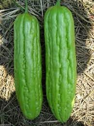 Vietnamese Gourd Vegetable Seeds for Planting - 100 Pcs pcs - Dharaseeds