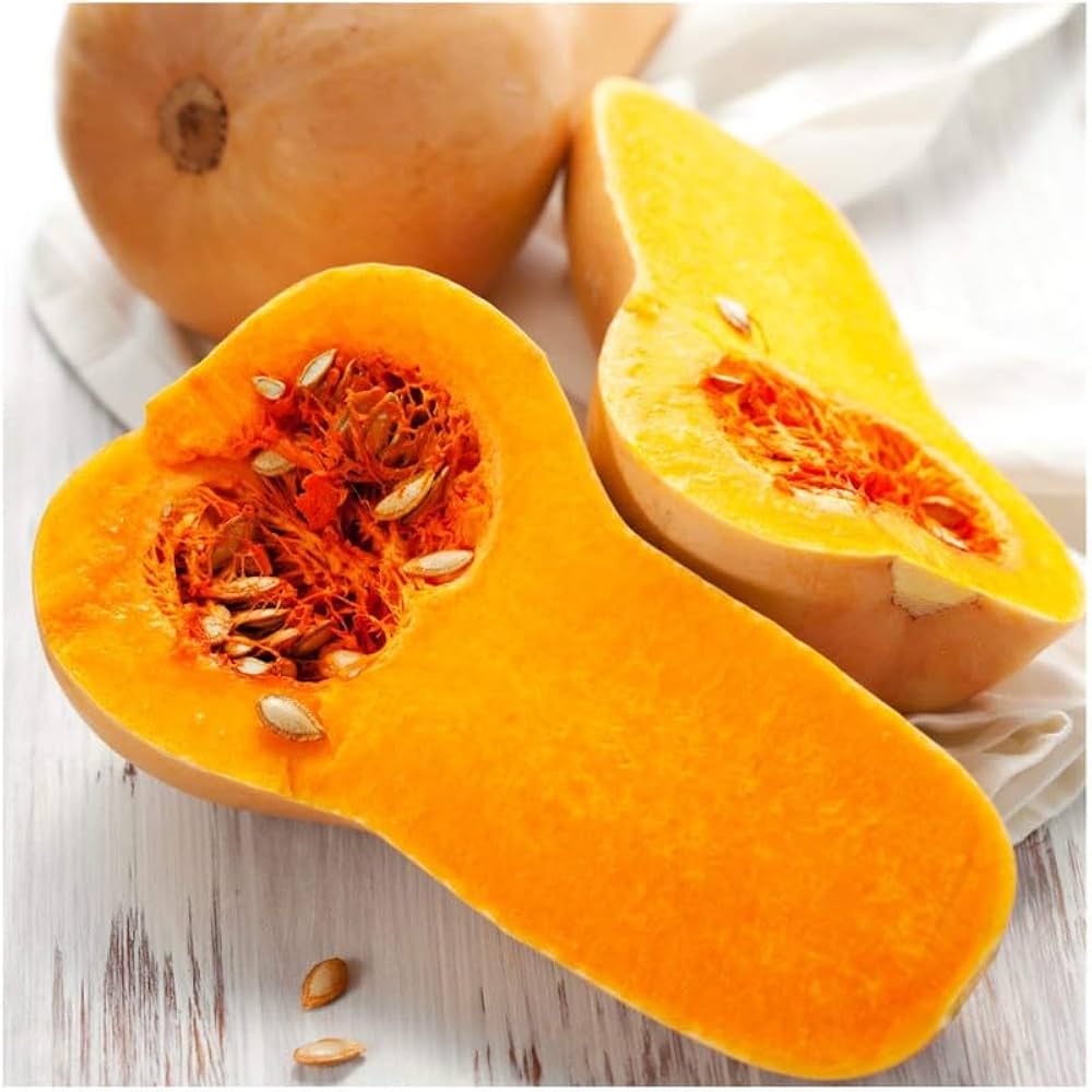 Waltham Butternut Squash Seeds – Classic Winter Squash with Sweet Orange Flesh - Dharaseeds