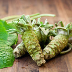 Non-GMO Wasabi seeds for indoor pot growing