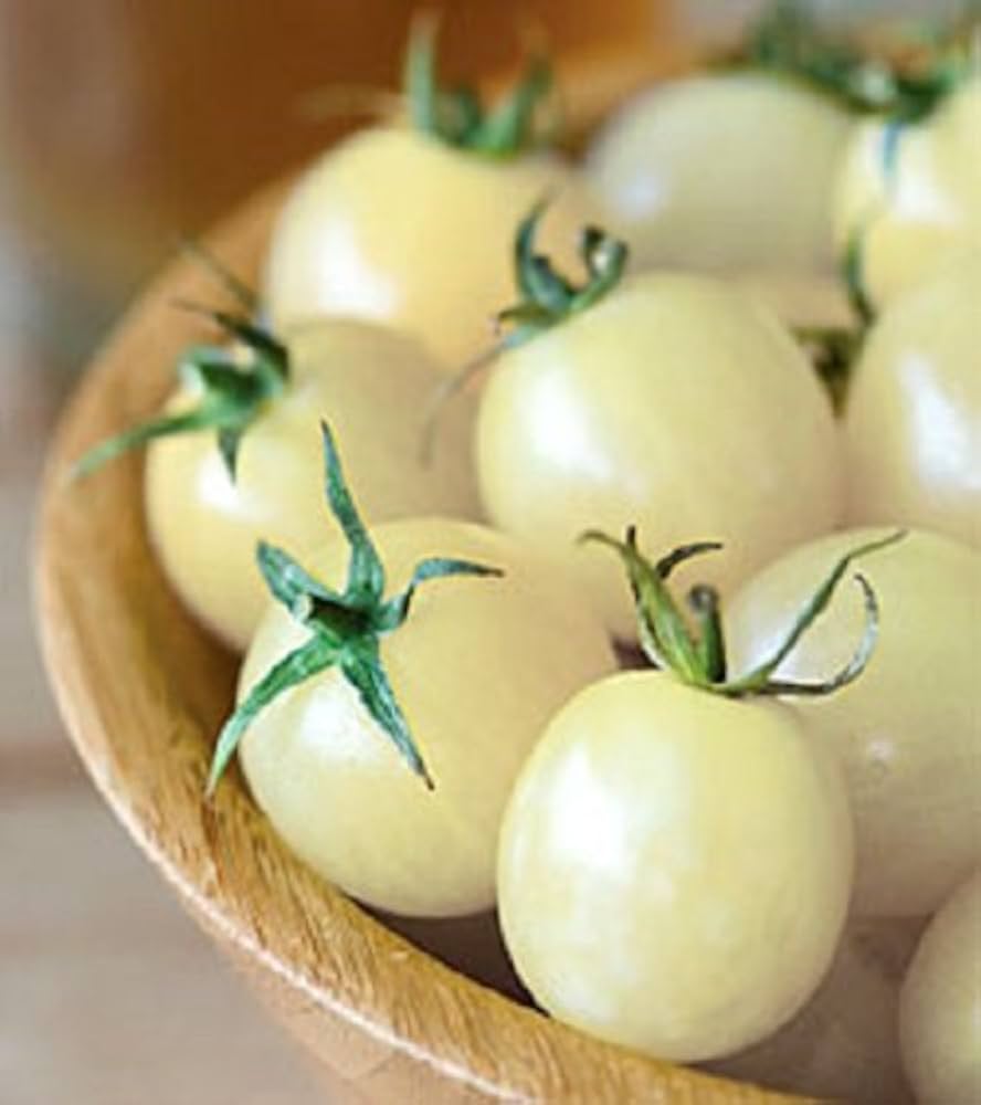 Washington cherry tomato seeds – sweet, early ripening for fresh snacking - Dharaseeds