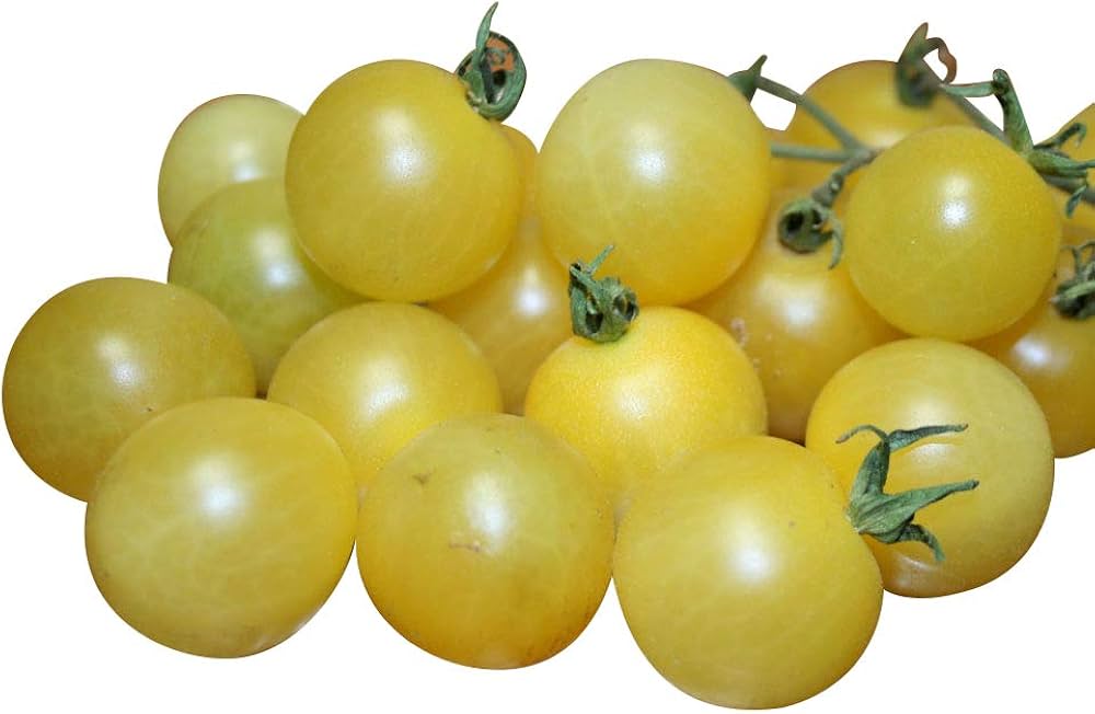 Washington cherry tomato seeds – sweet, early ripening for fresh snacking - Dharaseeds