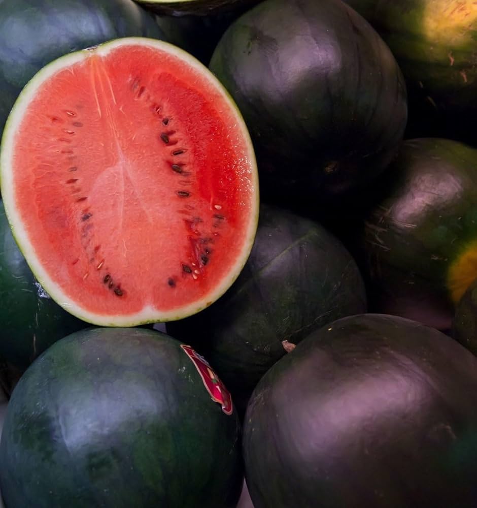 Black Diamond watermelon seeds with planting and growing guide