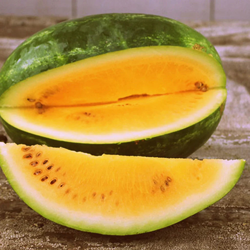Watermelon Citrullus Lanatus seeds Tendersweet Orange heirloom variety