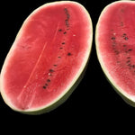 Hybrid watermelon seeds Citrullus lanatus germination stage