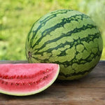 Watermelon seeds for organic farming