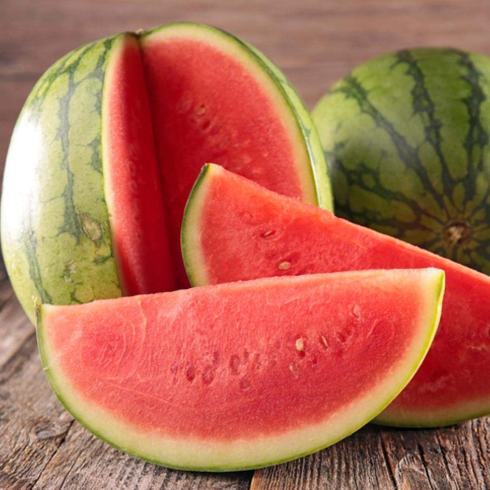 Watermelon vine growth stage from seed to plant