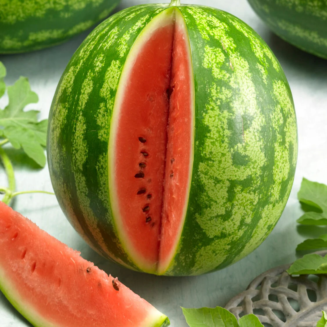 Watermelon vine growth from premium quality seeds
